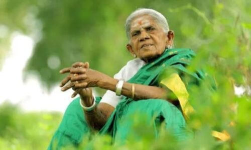 ರವೀಂದ್ರ ಕಲಾಕ್ಷೇತ್ರದಲ್ಲಿ ನಾಳೆ ಬೆಳಗ್ಗೆ 7.30ರಿಂದ 10.30 ಸಾರ್ವಜನಿಕ ದರ್ಶನ|        ಕಲಾಗ್ರಾಮದಲ್ಲಿ ಸಾಲುಮರದ ತಿಮ್ಮಕ್ಕ ಅಂತ್ಯಕ್ರಿಯೆ: ಈಶ್ವರ ಖಂಡ್ರೆ