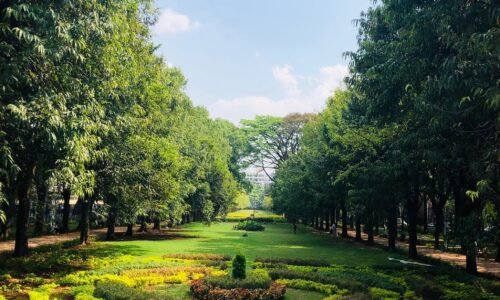 ಕಬ್ಬನ್ ಉದ್ಯಾನವನದಲ್ಲಿ ಫಲಪುಷ್ಪ ಪ್ರದರ್ಶನ: ನವೆಂಬರ್ 27 ರಿಂದ‌ ಆರಂಭ