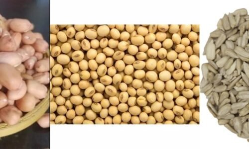 ವಿವಿಧ ಬೆಳೆಗಳ ಖರೀದಿ ಅವಧಿ ವಿಸ್ತರಣೆ ಮಾಡಿದ ಕೇಂದ್ರ ಸರ್ಕಾರ