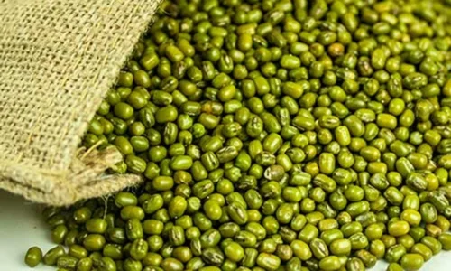 ಹೆಸರುಕಾಳು ಖರೀದಿಗೆ ಮತ್ತಷ್ಟು ಕಾಲಾವಕಾಶ |ಸಚಿವ ಪ್ರಲ್ಹಾದ ಜೋಶಿ ಮನವಿಗೆ ಕೇಂದ್ರ ಅಸ್ತು