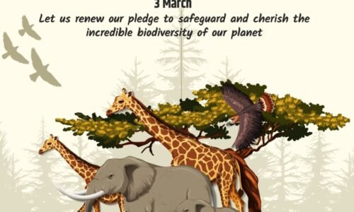 ಇಂದು ವಿಶ್ವ ವನ್ಯಜೀವಿ ದಿನ | ಪ್ರಾಣಿಗಳ ಸಂರಕ್ಷಣೆಗೆ ಆದ್ಯತೆ